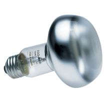 Ampoule chauffante pour reptiles, terrariums 40W